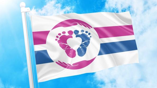 Movimiento pro vida mundial ya tiene su bandera contra el aborto