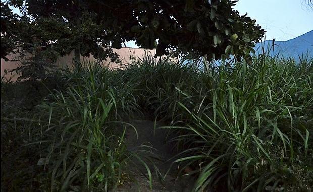 Delincuentes violaron a una joven en escuela de Puerto La Cruz Delincuentes violaron a una joven en escuela de Puerto La Cruz