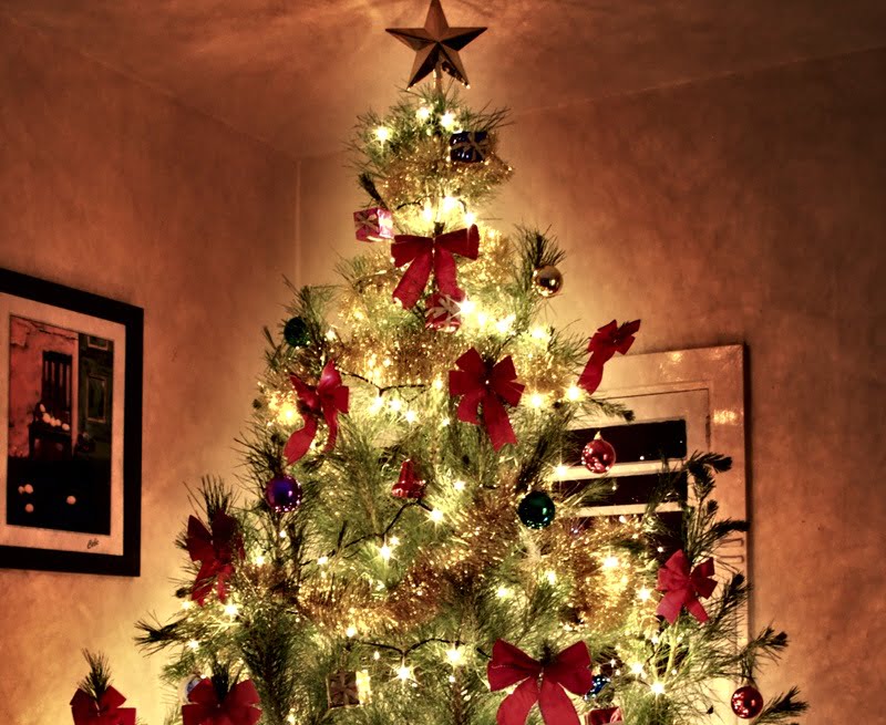 Venezolanos necesitan $250 para armar un árbol de navidad