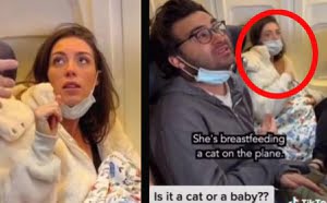 Una mujer es acusada de amamantar a un gato en un avión (+vídeo)