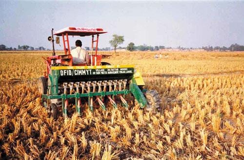 ¡Déficit de fertilizantes y créditos insuficientes! Productores venezolanos hacen milagros para sembrar