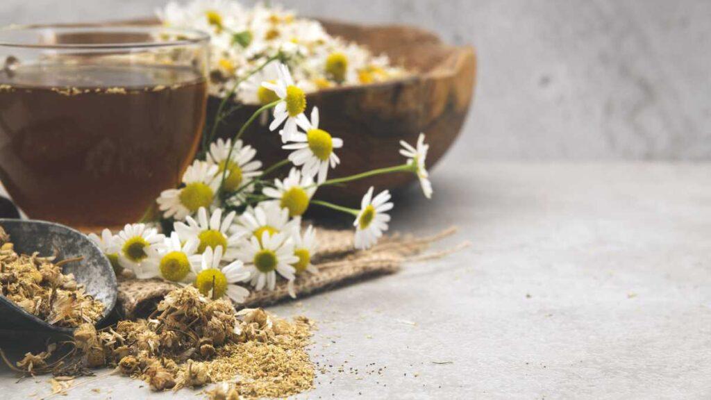 Estos son los beneficios del té de manzanilla