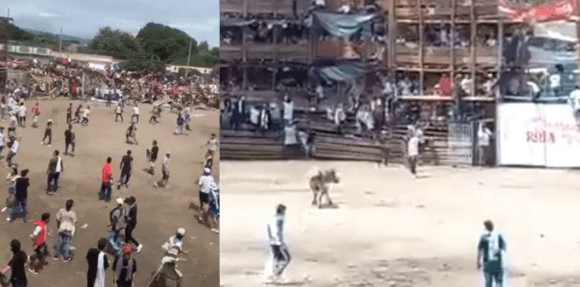 El conmovedor relato de un sobreviviente al accidente en corrida de Toros en Colombia
