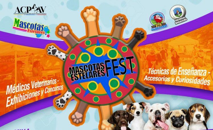 ¡POR TRES DÍAS CONSECUTIVOS! Maracaibo contará con la primera edición del Mascota Estelar Fest