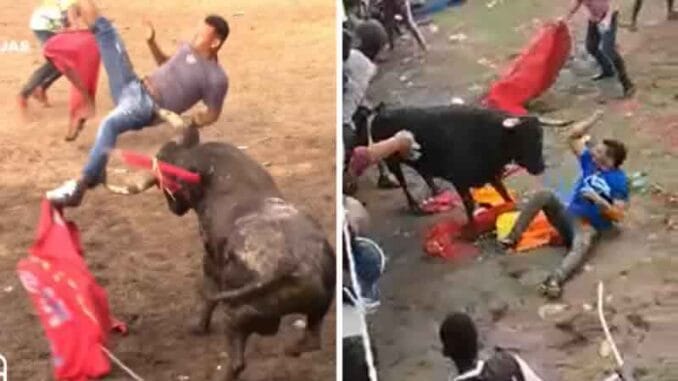 Brutal ataque de toros en una corrida en Colombia dejó unas 19 personas heridas (VIDEO)