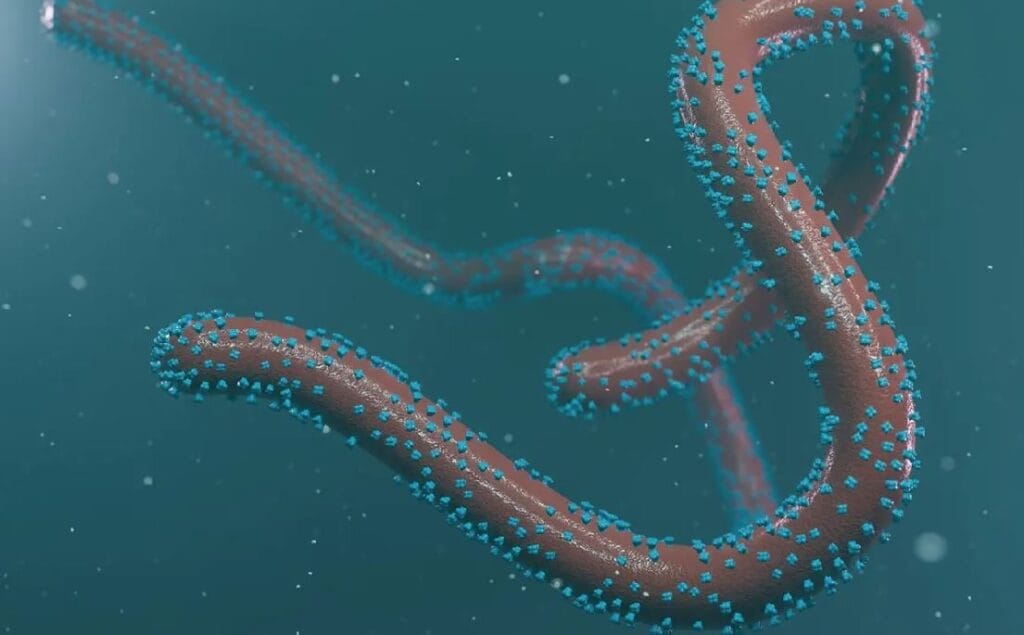 ¡Virus similar al ébola y altamente contagioso! Ghana detecta dos posibles casos de fiebre de Marburgo