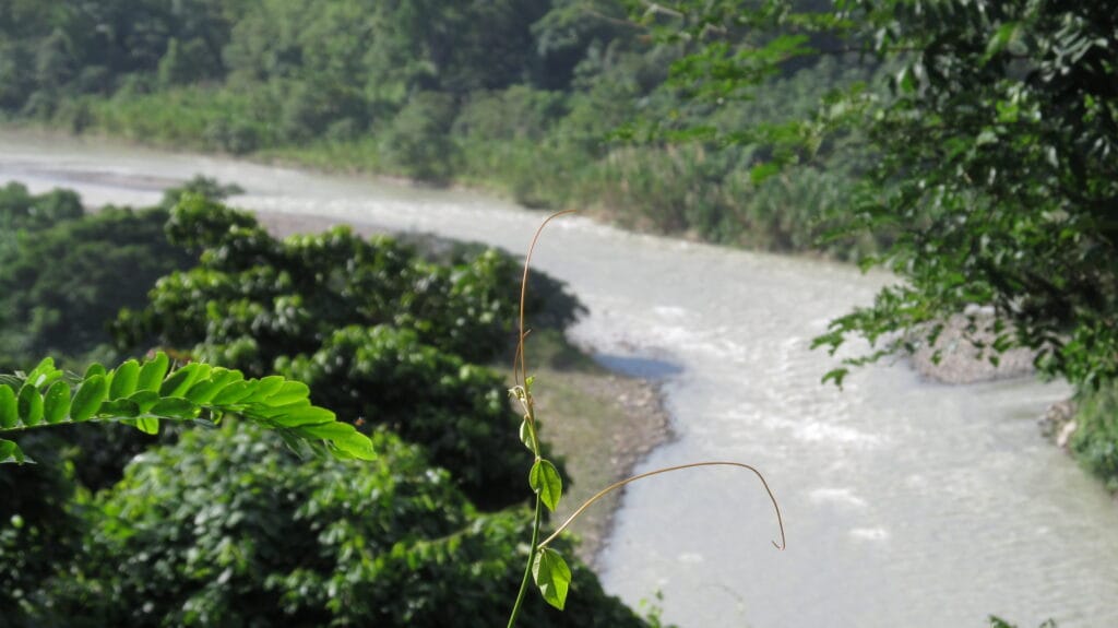 Tras fuertes lluvias se desborda el río Socopó en Barinas