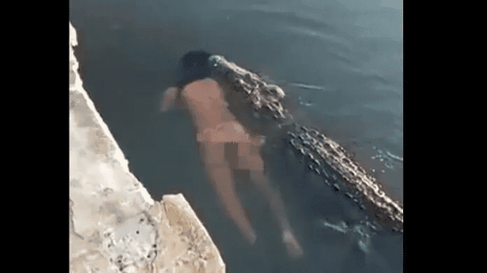 Captan a cocodrilo «paseando» con cadáver en una laguna de México (Vídeo impactante)