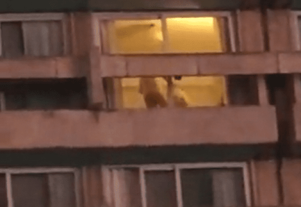 “Apaga la luz”: Pareja fue sorprendida teniendo sexo por toda la hinchada de Boca Juniors (VIDEO)