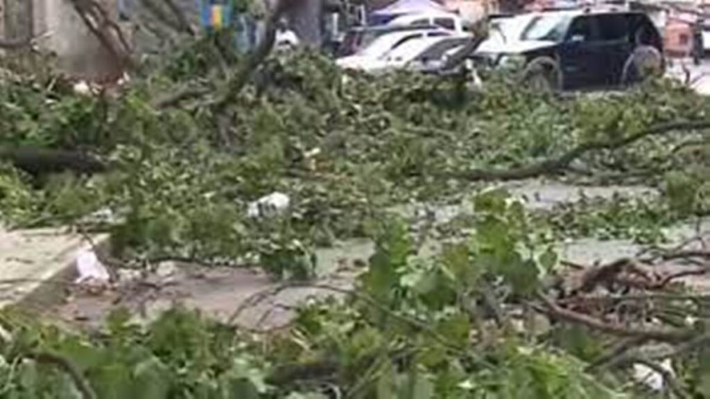 Mira la rápida reacción de un joven que casi muere aplastado por un árbol en El Valle (Video)