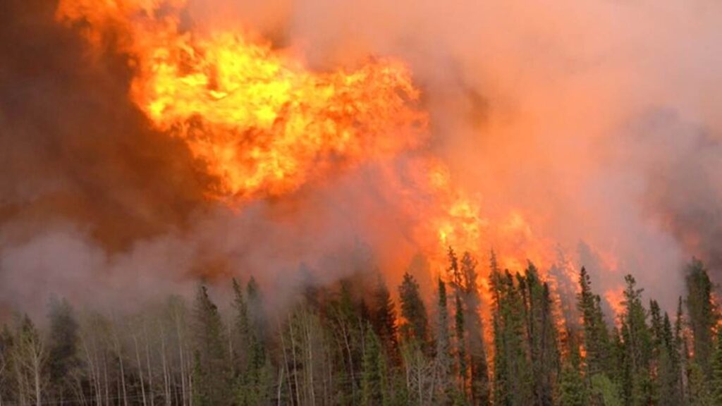 Incendios forestales se salen de control en Canadá (Videos)