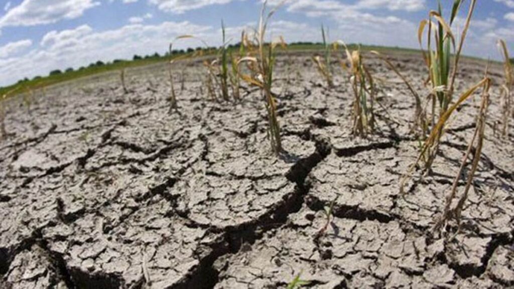 Advierten que fenómeno «El Niño» traerá 80 % de escasez de lluvias en Venezuela