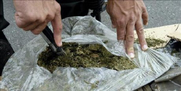 Privan de libertad a cinco personas por tráfico de marihuana en Guanare