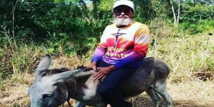 Un detenido por matar al burro de una fundación religiosa