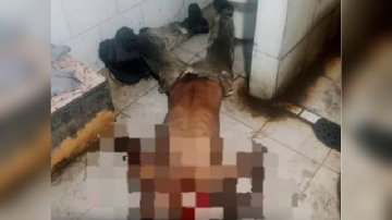 Tragedia en Vargas: mecánico fue al baño de su trabajo y una hora después lo encontraron muerto
