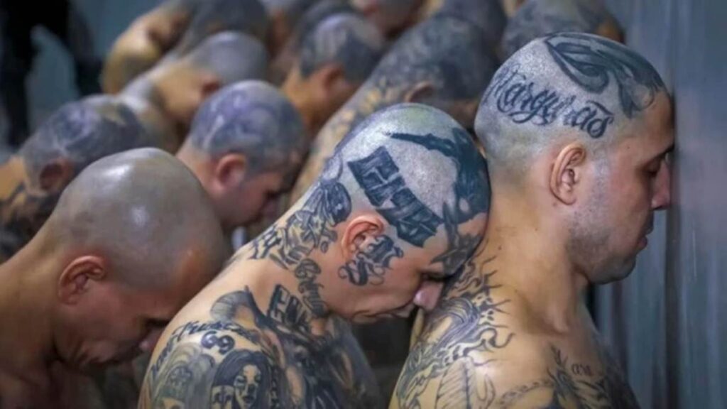 Alerta mundial: Cabecillas de la Mara Salvatrucha se desplazaron hasta esta nación del caribe (Video)