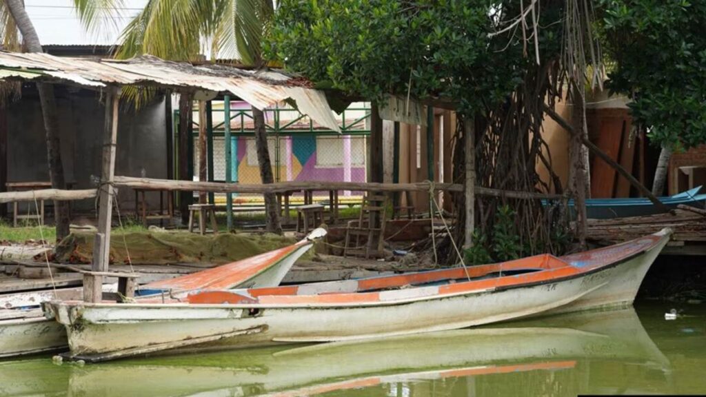Advierten las consecuencias de la alarmante cantidad de verdín en el lago de Maracaibo (Videos)
