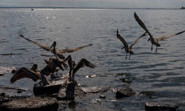 Denuncian «olores pestilentes» en el Lago de Maracaibo