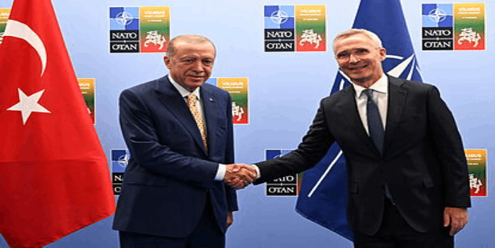 Turquía levanta su veto al ingreso de Suecia en la OTAN