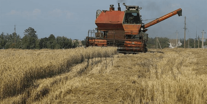 Rusia está dispuesta a sustituir el grano ucraniano en el mundo