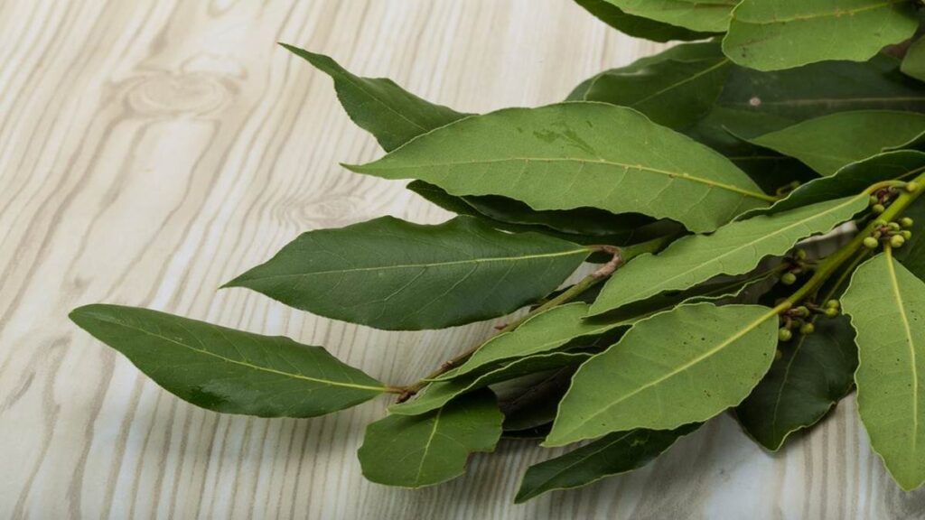 Esta es la hierba medicinal que estimula la producción de colágeno y ayuda a disminuir las arrugas