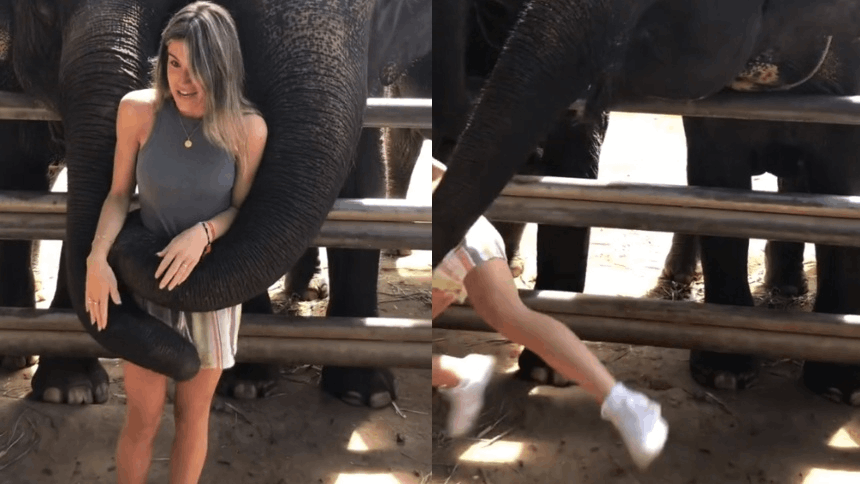 El video viral de la tiktoker que quiso una foto con elefantes en Tailandia y todo terminó en desastre