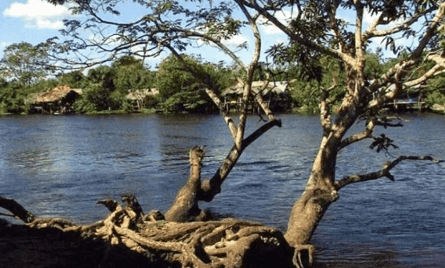 Tres jóvenes desaparecieron mientras se bañaban en el río Orinoco