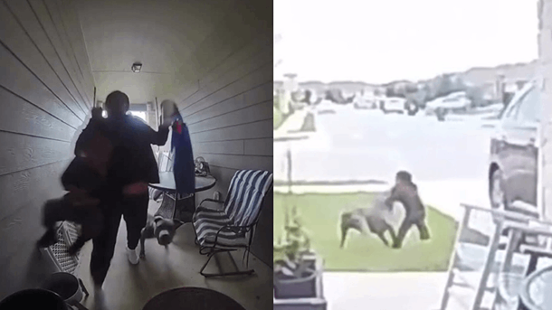 Angustioso Video: Madre vivió momentos de terror cuando pitbull atacó a su bebé de 2 años