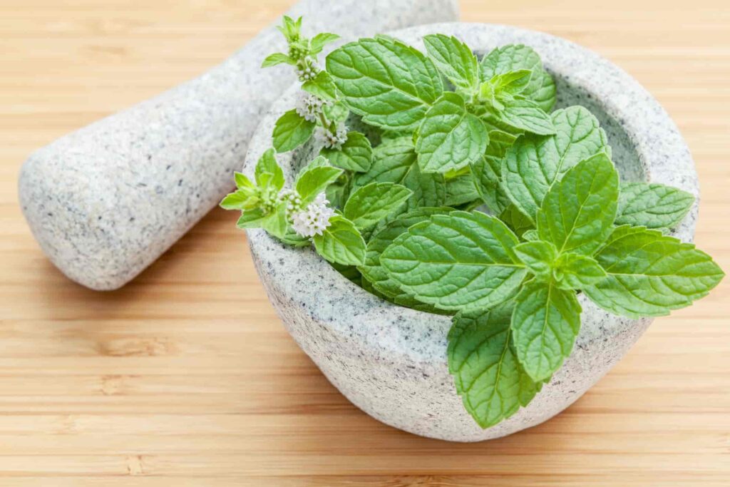 Remedios naturales para la migraña en niños
