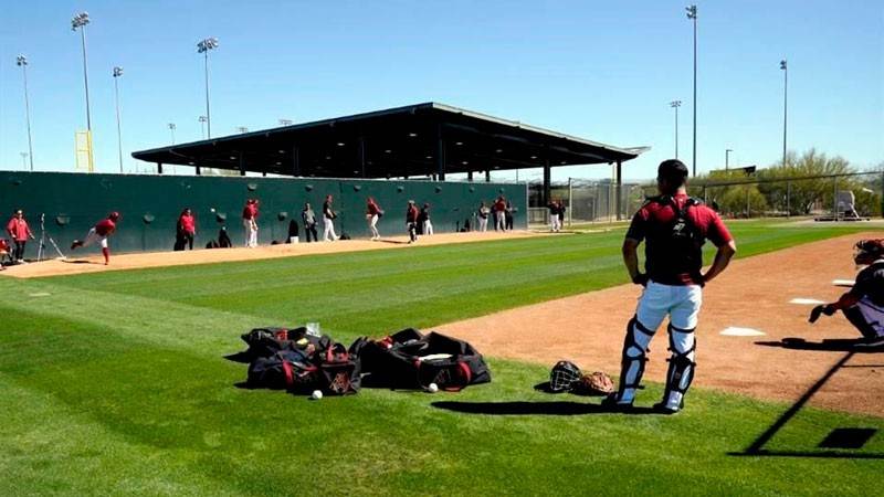 Suben a 144 los venezolanos en entrenamientos de la MLB (DETALLES)
