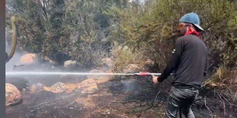 “¡Hoy logramos salvar casas!”: Venezolanos ayudaron a apagar incendios en Chile (VIDEO)