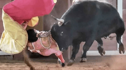Torero recibe una grave cornada en la cara mientras otros se preguntan ¿Qué pasó con el toro?