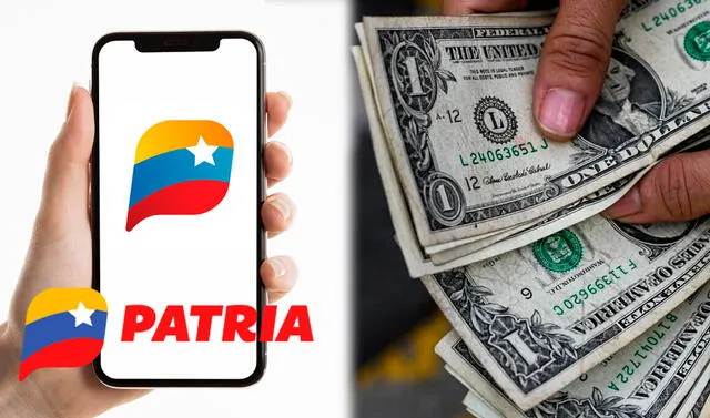 ¿Qué hacer si no llegan las notificaciones de Patria por mensaje de texto? (+Pasos)