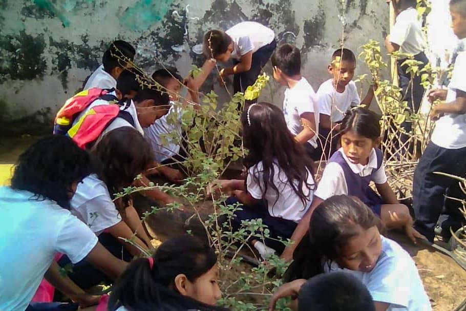 Ministerio de educación prepara a Escuelas zulianas para el reimpulso de los Conucos Escolares (FOTOS)