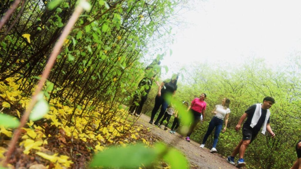 Ciudadanos de San Francisco disfrutaron el florecimiento de los curarires en el Jardín Botánico (FOTOS)