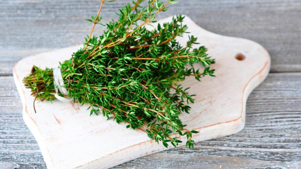 Cómo limpiar los pulmones con estas 3 hierbas con propiedades depurativas y antiinflamatorias