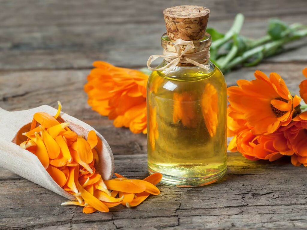 Conoce la flor que eliminará las manchas de tu rostro