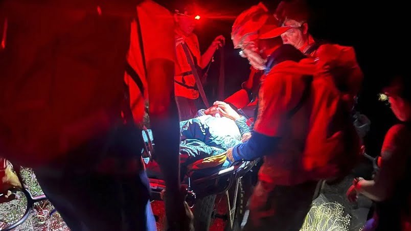Mujer creyó que le picó una araña, pero se llevaron una sorpresa con el verdadero culpable