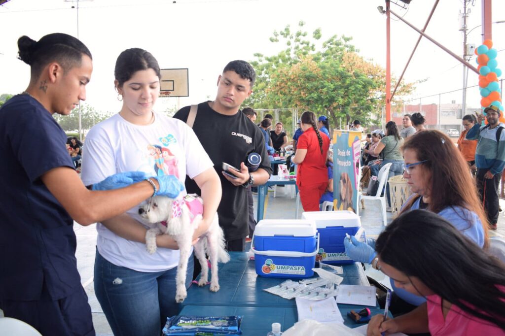 Alcaldía de San Francisco realizó jornada veterinaria de atención a más de 300 mascotas
