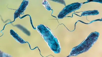 Alerta mundial por bacteria asesina, conozca cuáles son sus síntomas