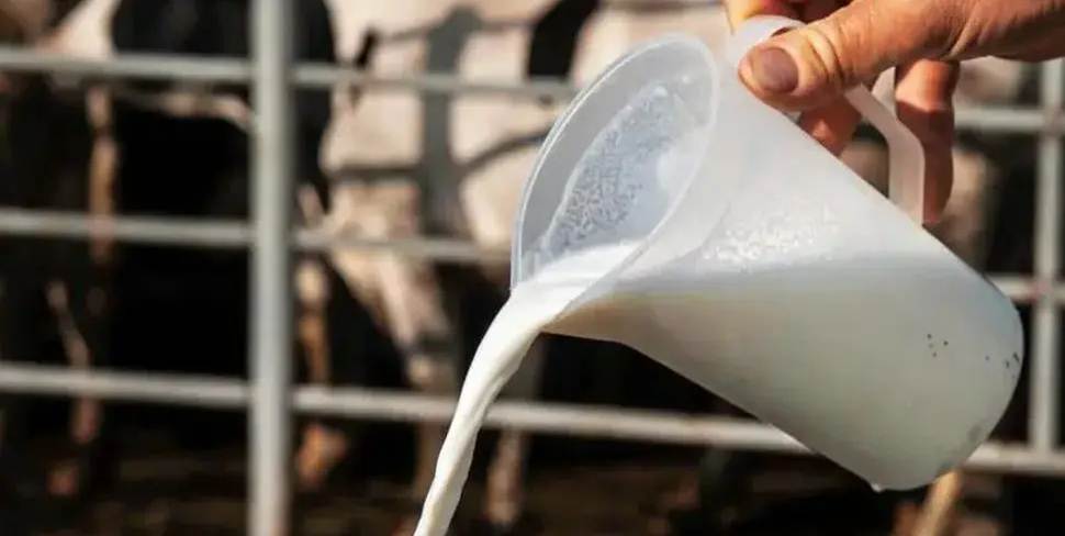 ¿Qué hay en los microbios de los alimentos? Un gran mapa genético lo descifra