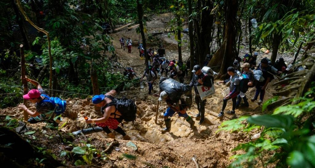 Encuentran campamento clandestino de migrantes irregulares en el Darién: Sepa cómo funcionaba