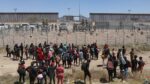 Migrantes