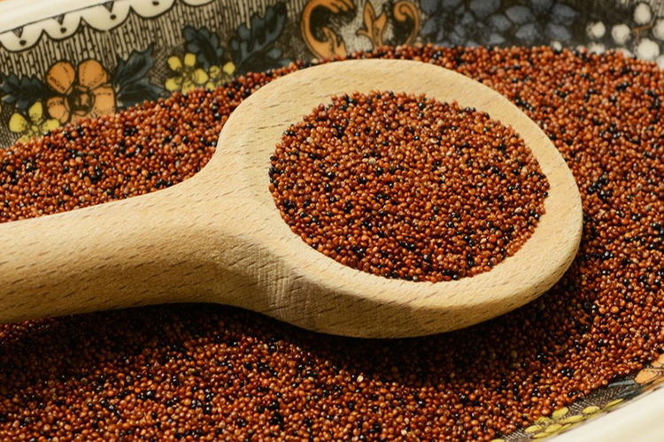 Ni avena ni quinoa: el cereal sin gluten y alto en proteínas que combate el envejecimiento y potencia la memoria Kañiwa