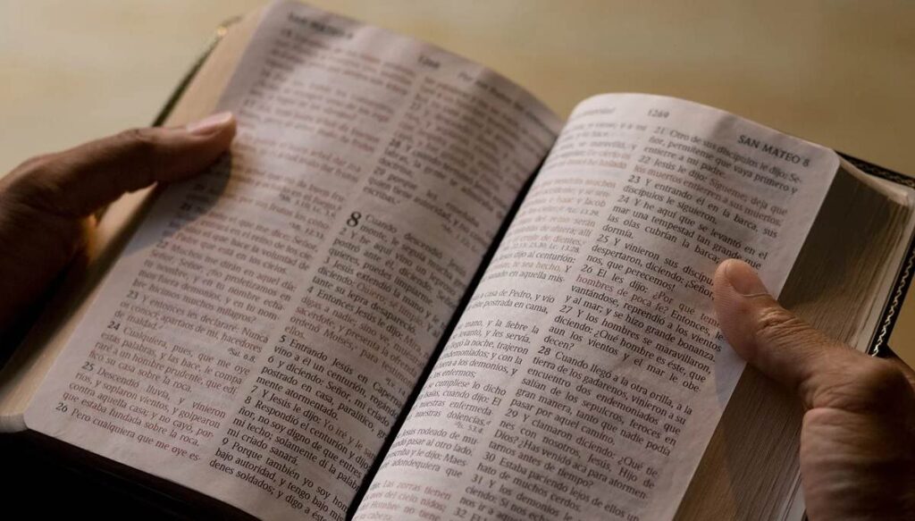Aumento inesperado en venta de Biblias muestra que las personas “están regresando al Señor”, dice informe Biblias