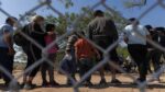 migrantes