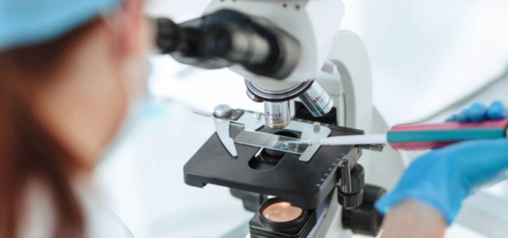 Premio Mujeres Ciencia