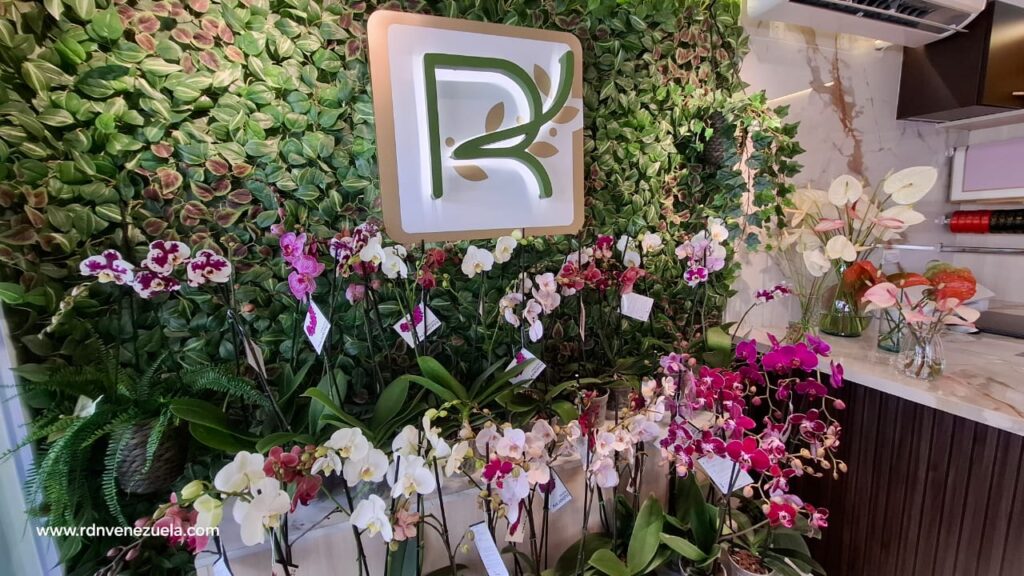 Randolf Flowers
