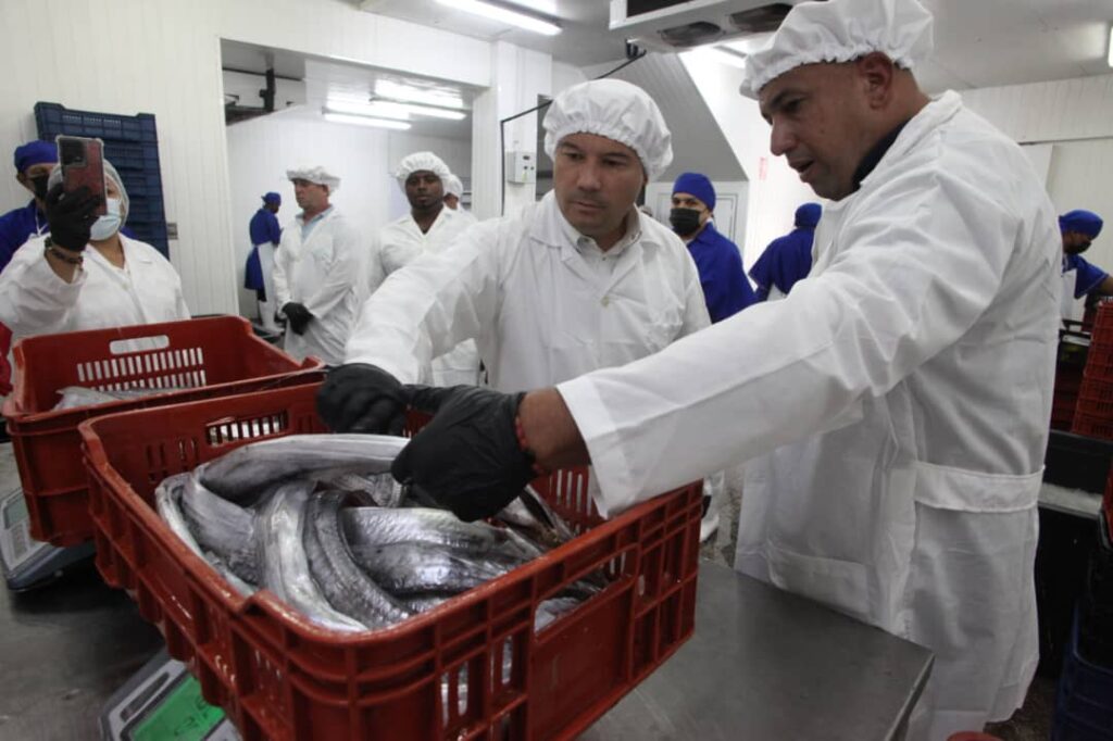 Realizan la carga de 24 Toneladas de pescado Tahali para exportarlo a Shanghái