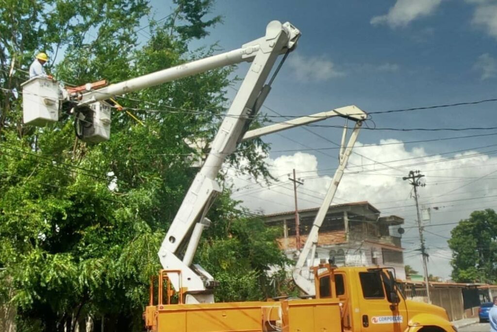 CORPOELEC realizará jornada de control de vegetación en 12 municipios de los estados Falcón, Lara y Zulia CORPOELEC